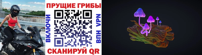 Псилоцибиновые грибы GOLDEN TEACHER  Ахтырский 